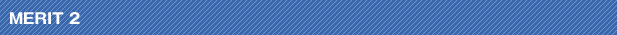 MERIT 2